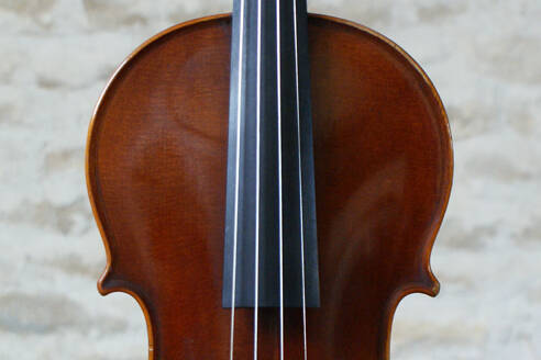 Violon Nicolas Duchene